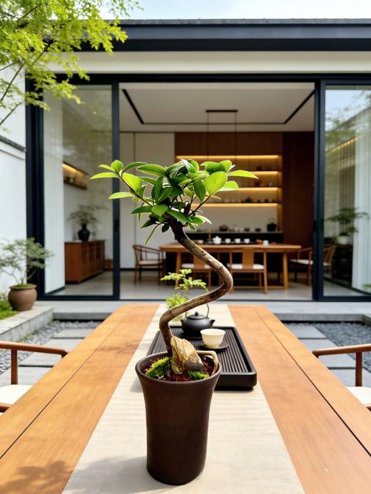 造型春花 商品图2