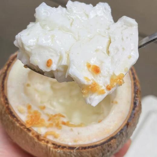 椰奶冻  椰香浓郁 商品图3