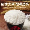 探禾广府丝苗米5KG 商品缩略图1