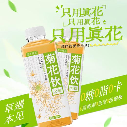 草本遇见菊花饮无糖500ml*20瓶 商品图1