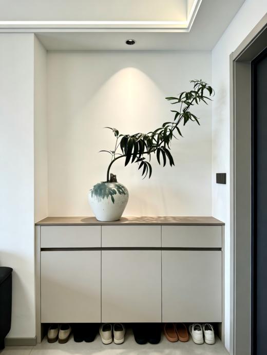 夏威夷细叶伞 商品图2