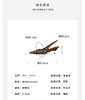 Westory2026年春季尖头中跟豹纹后空鞋时髦空凉鞋W26AH51421 商品缩略图11