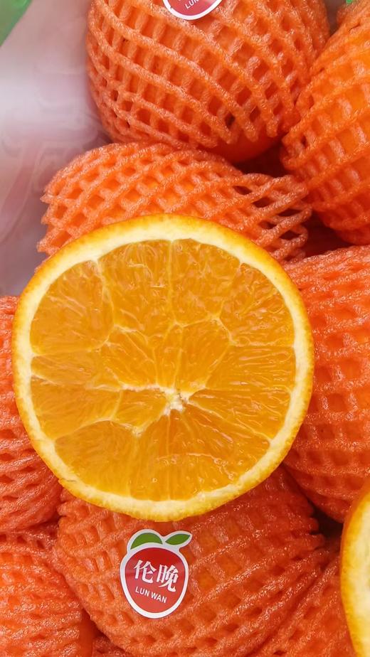 【社群团购】伦晚橙【约6斤】【周六送货到家】【BJ】 商品图3