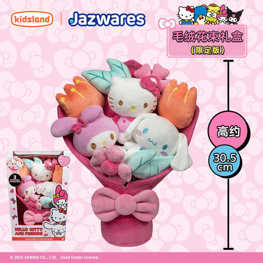 Jazwares Hello Kitty 毛绒花束礼盒 手捧花女生节日礼物送女友 三丽鸥玩偶花束 商品图3