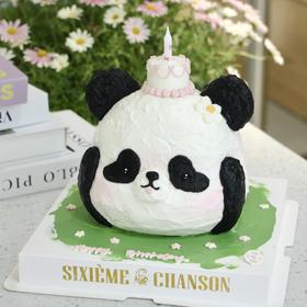 【熊猫不熬夜】