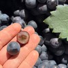 建水「蓝莓葡萄」1kg 商品缩略图1