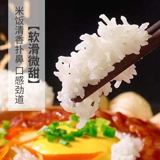 探禾广府丝苗米5KG 商品图2