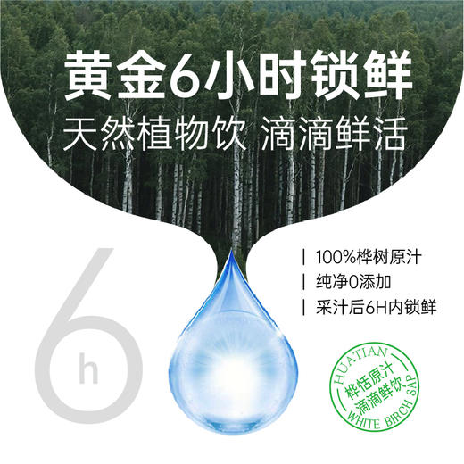 桦恬白桦树原汁330ml*6瓶 商品图3