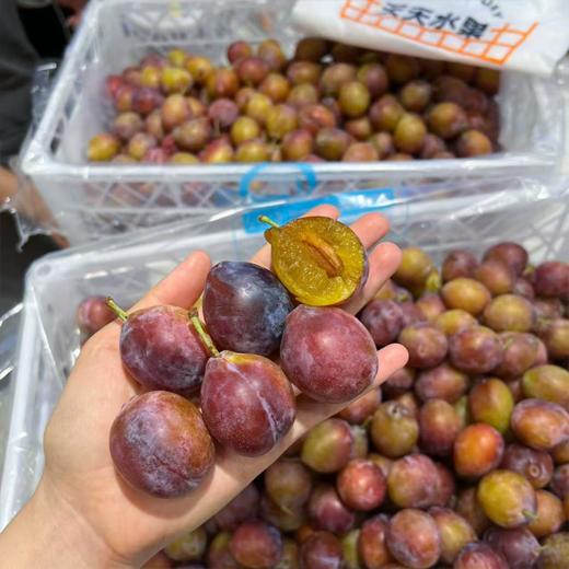 活动款 进口西梅 商品图0