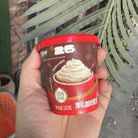 蒙牛厚乳咖啡雪泥杯100g
