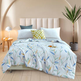 【清凉购特价158】雅鹿蚕丝滋养润肤被200*230cm（仅被子）