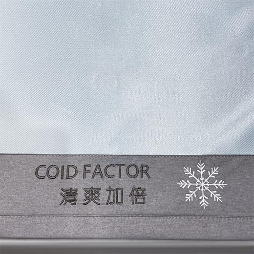 【清凉购特价199】杉杉 600D凉感冰丝席-天蓝 SS-L2003 商品图2