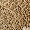 有机豆浆粉25g*10条/盒｜黑龙江绥化 商品缩略图2