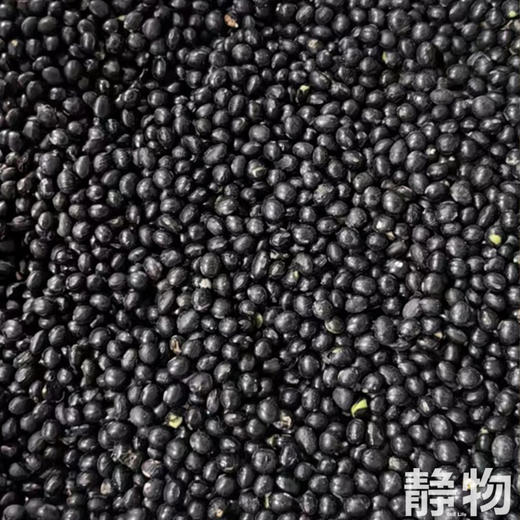 有机豆浆粉25g*10条/盒｜黑龙江绥化 商品图1