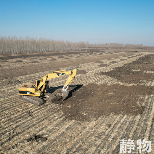 有机豆浆粉25g*10条/盒｜黑龙江绥化 商品图5