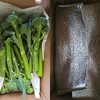 生态西蓝苔（福建） | 合作生产*  Eco-broccolini| Partner Production 商品缩略图4
