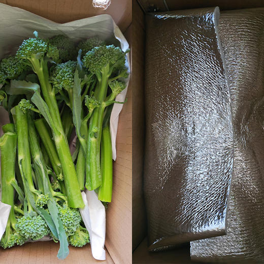 生态西蓝苔（福建） | 合作生产*  Eco-broccolini| Partner Production 商品图4
