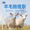 倍顿中链甘油三酯（活性维生素D3） 商品缩略图6
