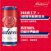 百威 无醇3.5°P啤酒 330ml/1听/6听/24听 商品缩略图3