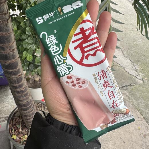 绿色心情红豆薏米雪糕 商品图0