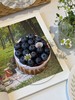 蓝莓装饰巴斯克 商品缩略图0