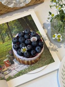 蓝莓装饰巴斯克