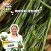 生态贡菜干| 合作生产*Ecological ginger root dried product| Partner Production 商品缩略图0