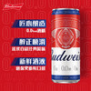 百威 无醇3.5°P啤酒 330ml/1听/6听/24听 商品缩略图2