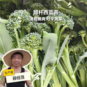 生态西蓝苔（福建） | 合作生产*  Eco-broccolini| Partner Production