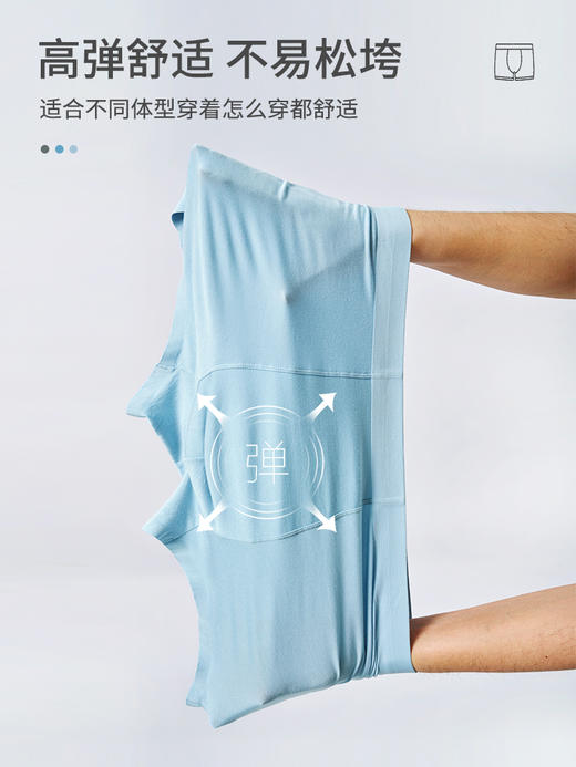 无缝无痕男士内裤260X0U313N线下专款 商品图3