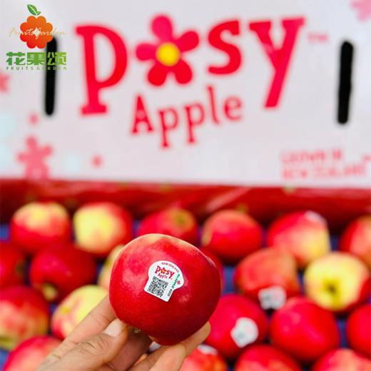 【进口精选】新西兰小花苹果3个 约450g 商品图0