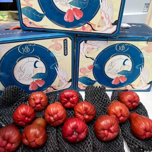 高山芭比莲雾 礼盒装 商品图1