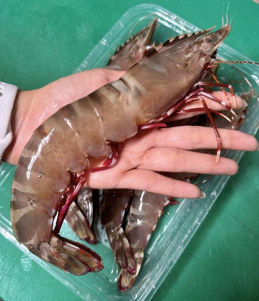 野生红脚虾礼盒（净重5斤） 商品图1