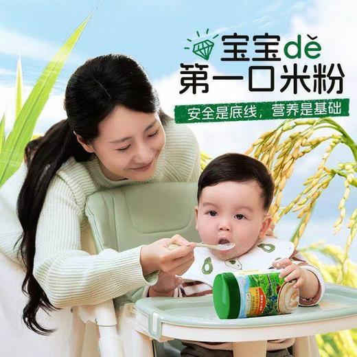 爷爷的农场婴幼儿有机米粉面条肉酥添加辅食油宝宝零食 商品图1