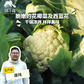 生态花椰菜（菜花）/迷你西蓝花（安徽，京东特快）| 合作生产*Ecological  cauliflower or broccoli| Coproduction