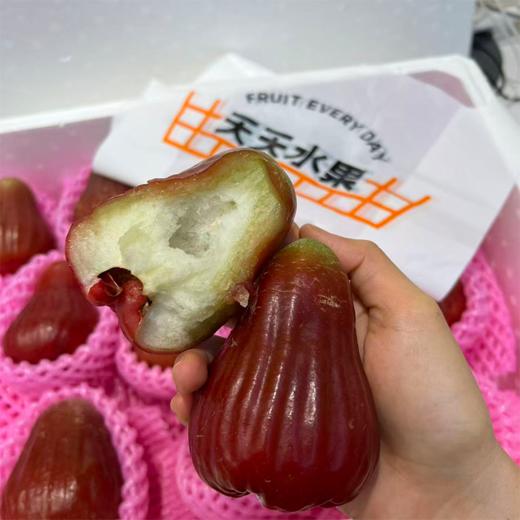 海南黑金刚莲雾 海南空运 好好吃的莲雾 商品图3