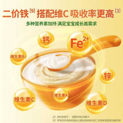 爷爷的农场婴幼儿有机米粉面条肉酥添加辅食油宝宝零食 商品图4