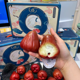 高山芭比莲雾 礼盒装