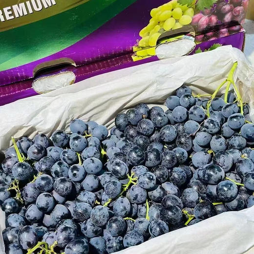 智利空运- CandyDreams 「神秘梦境黑提」1kg 商品图5