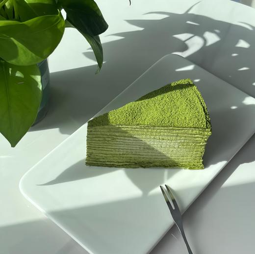 小绿千层 商品图0