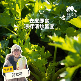 生态西芹（芹菜） | 绿家自产*Eco-celery | In-House Production
