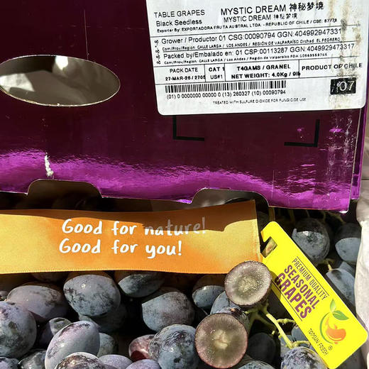 智利空运- CandyDreams 「神秘梦境黑提」1kg 商品图3