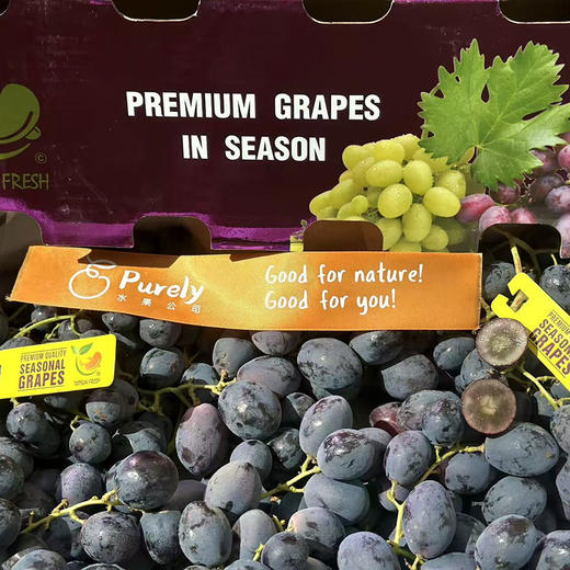 智利空运- CandyDreams 「神秘梦境黑提」1kg 商品图7