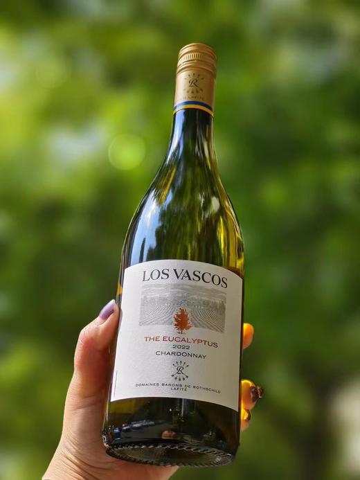 (测试勿拍)拉菲罗斯柴尔德双产区白葡萄酒组合装 商品图1