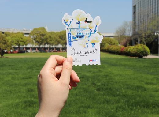 南医的花明信片 商品图4