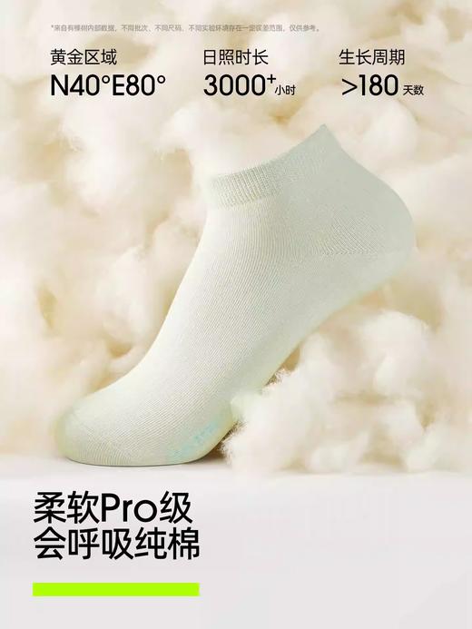【10A抗菌】有棵树袜子女士短袜夏季薄款纯棉防臭透气防滑白色 商品图2