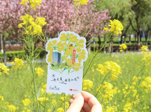 南医的花明信片 商品图1