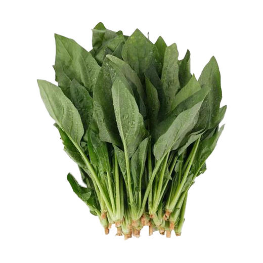菠菜苗250g 商品图0