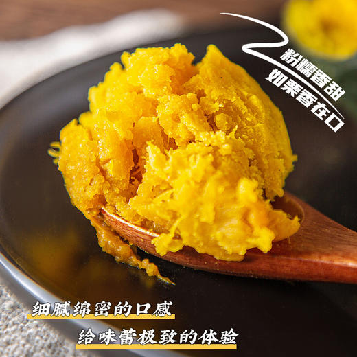 那园子 青小贝（进口品种）南瓜 商品图5