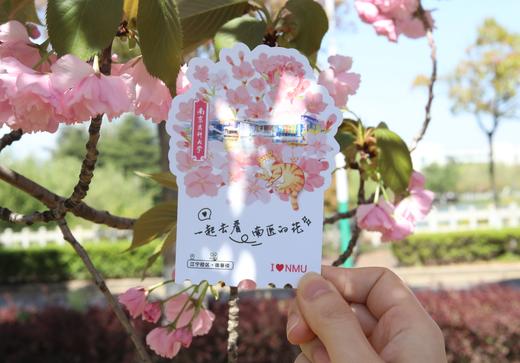 南医的花明信片 商品图2